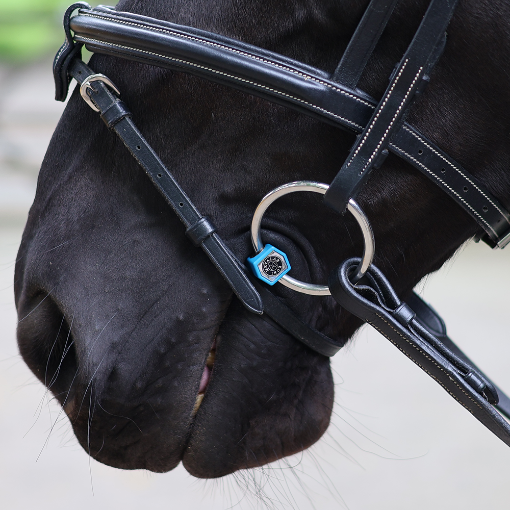 Metlab Flexible Port Snaffle Bit