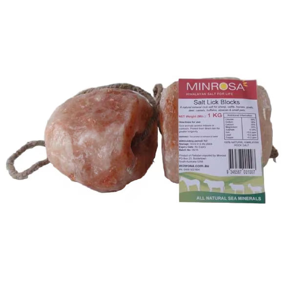 Minrosa Himalayan Salt Lick