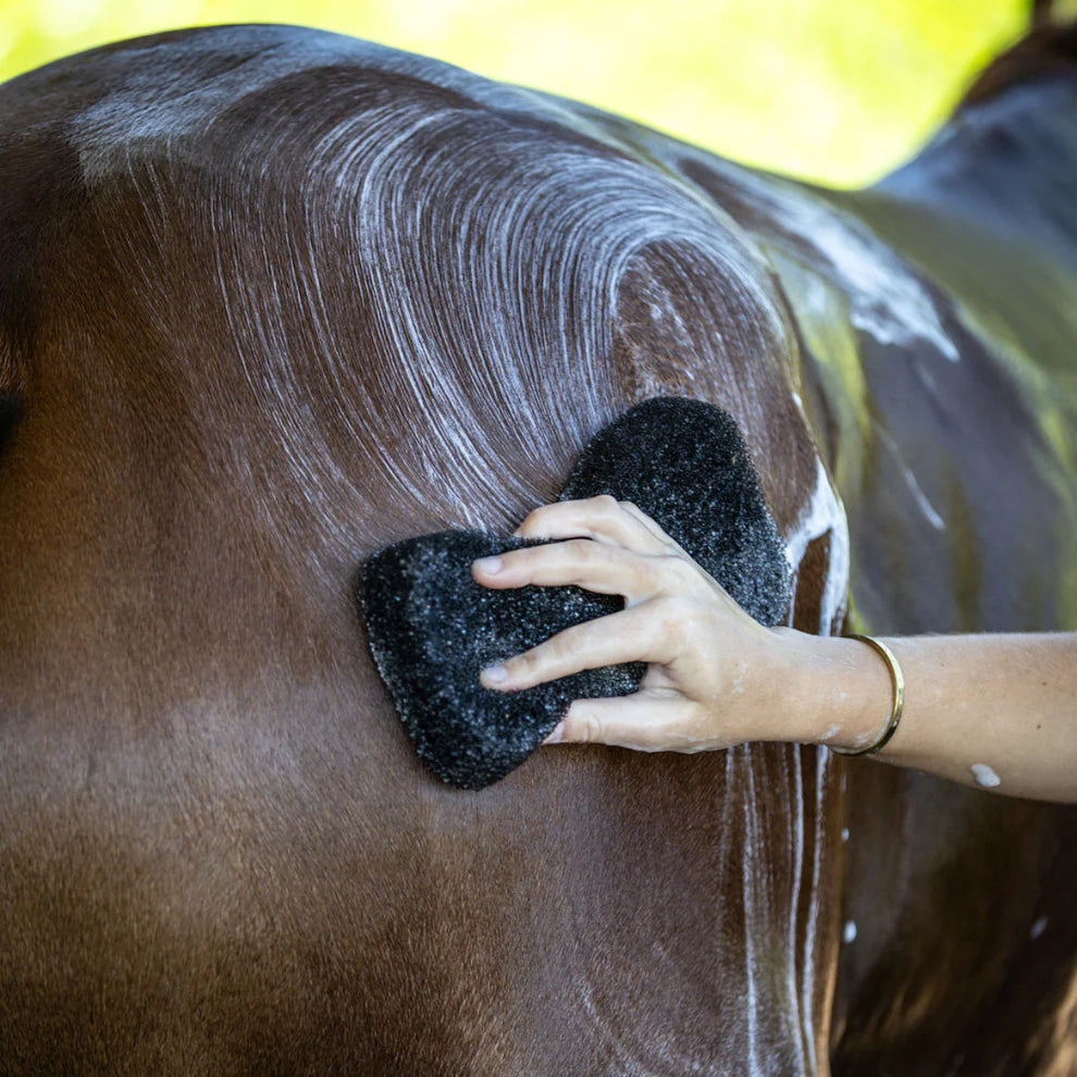 Hairy Pony Compressed Sponge