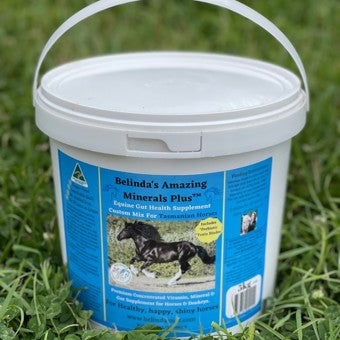 Belindas Amazing Mineral Plus