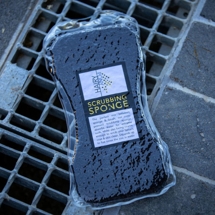 Hairy Pony Compressed Sponge