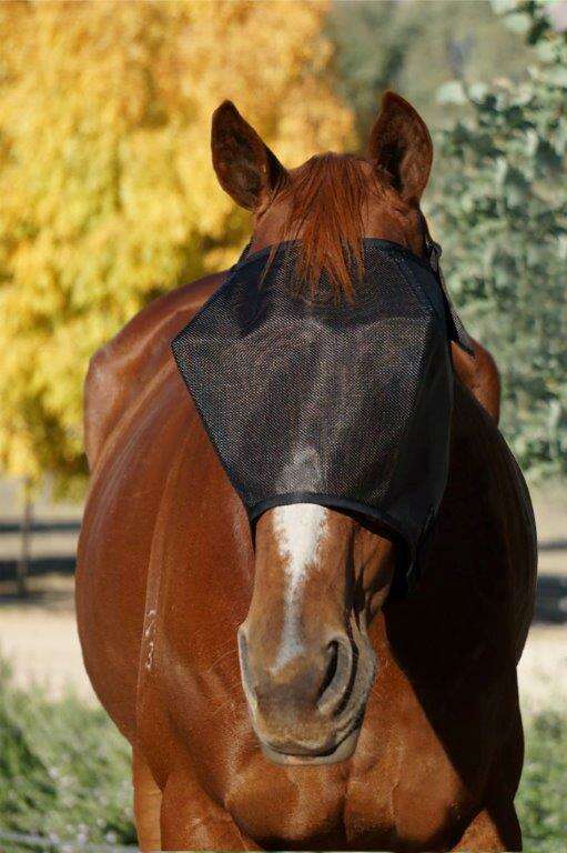 FlyVeils by Design Basic Fly Veil
