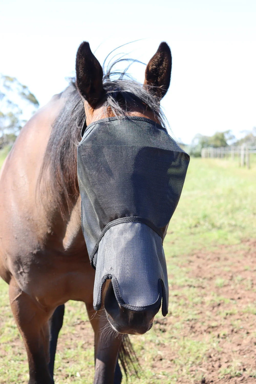 Flyveils by Design Flyveil with 100% Blockout Shaped Nose Cover