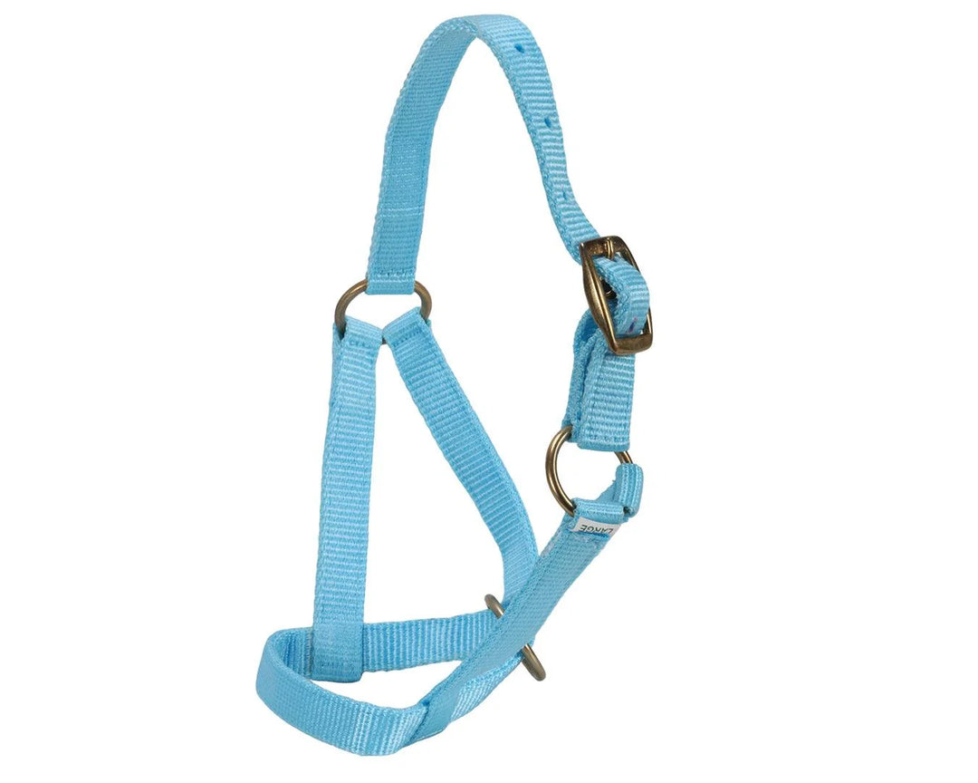 Goat/Alpaca Halter &amp; Lead Set