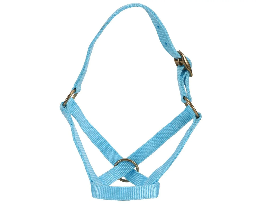 Goat/Alpaca Halter &amp; Lead Set
