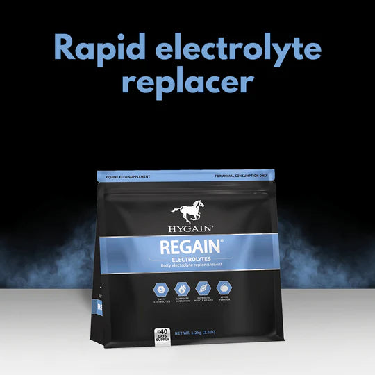 Hygain Regain Electrolyte