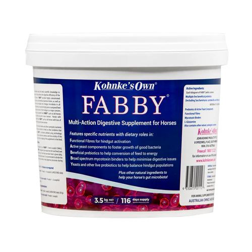 Kohnkes Own Fabby
