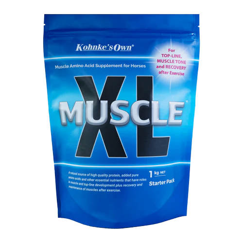 Kohnkes Own Muscle XL