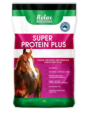 Relax Super Protein Plus 20kg