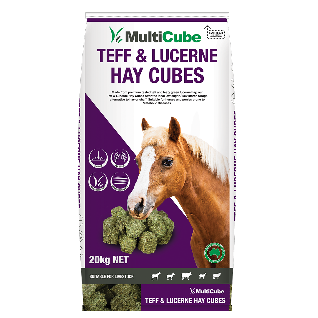 MultiCube Lucerne &amp; Teff Cubes