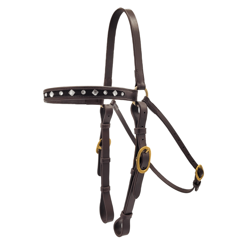 Oregon Bling Barcoo Bridle