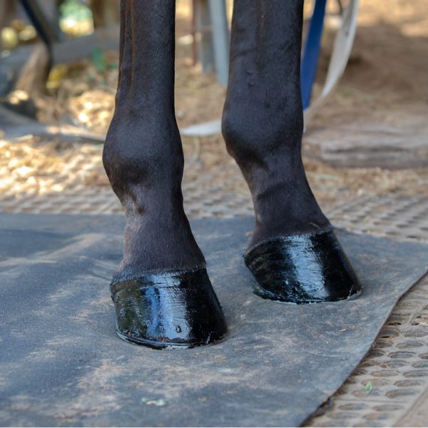 Nolian Enterprises - Hoof Safe Shine
