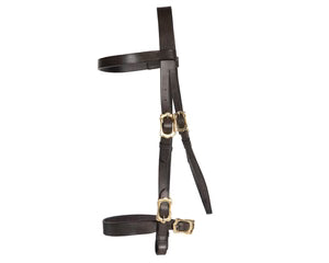 Jeremy &amp; Lord In-Hand Flat Show Bridle