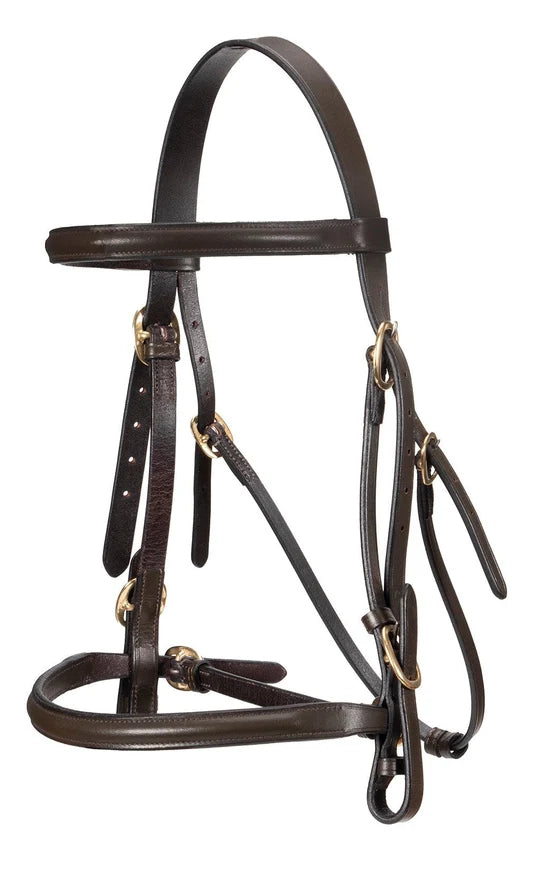 Jeremy &amp; Lord In Hand Raised Show Bridle