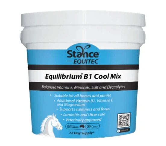 Stance Equitec Equilibrium B1 Blue