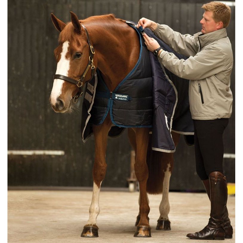 Horseware Liner 200g