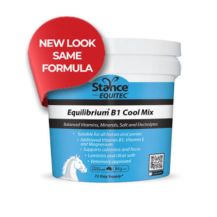 Stance Equitec Equilibrium B1 Blue