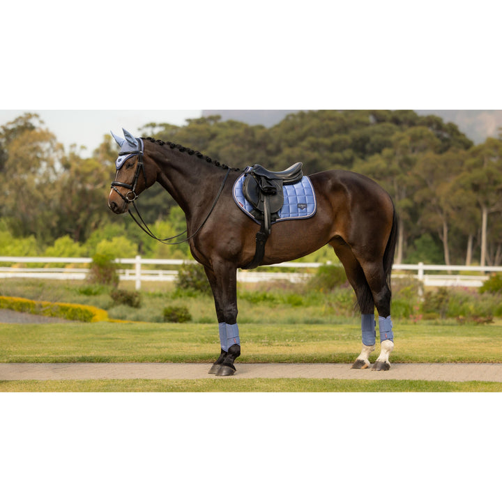 Lemieux Loire Classic Close Contact Square Pads