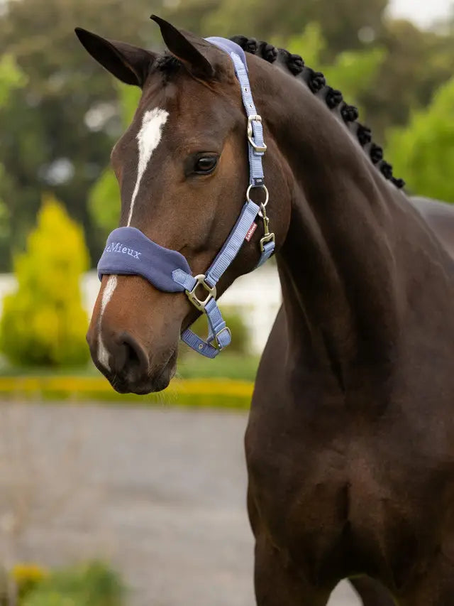 Lemieux Vogue Halter and Lead Set