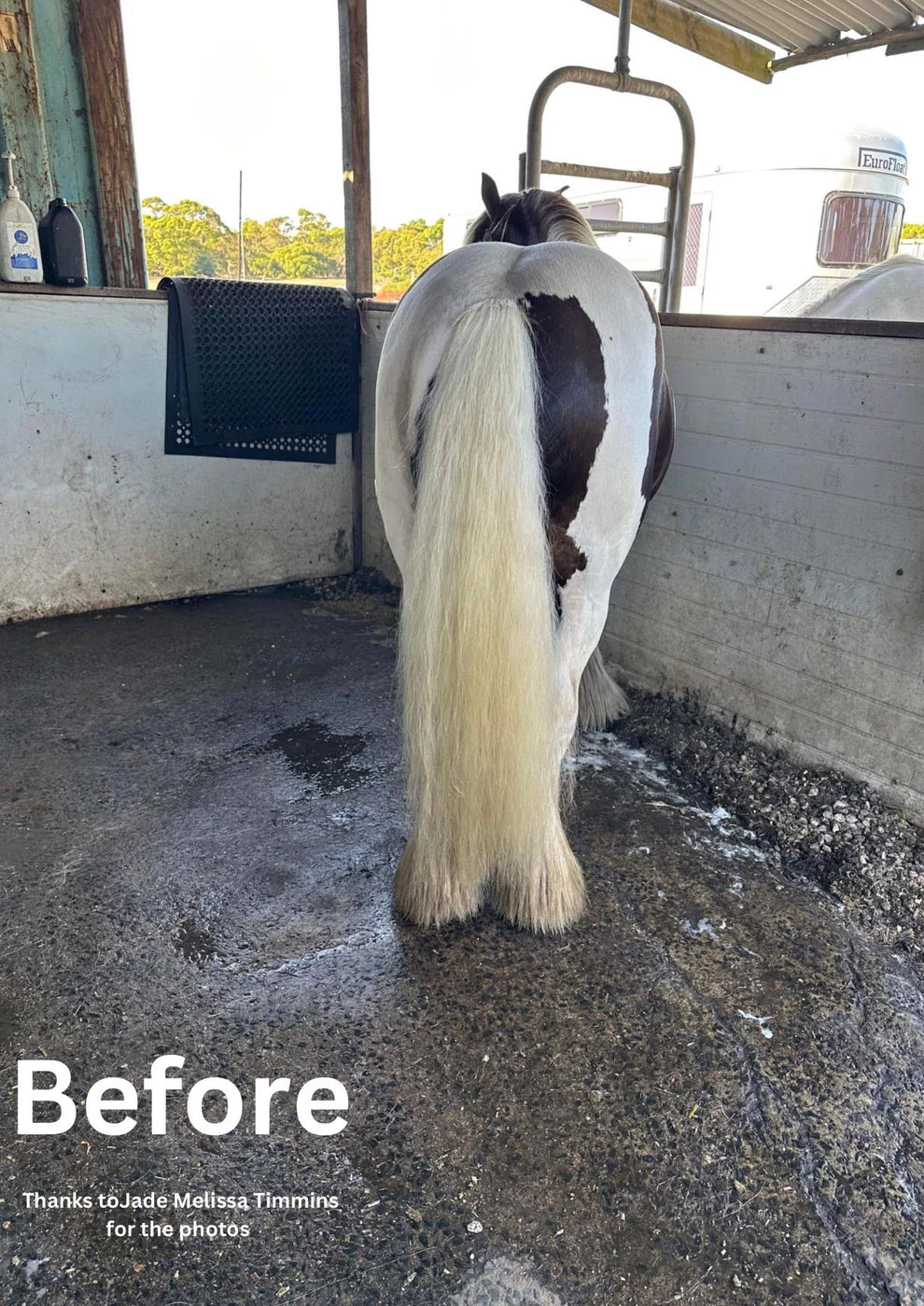 Hairy Pony Purple Hair Repair Treatment