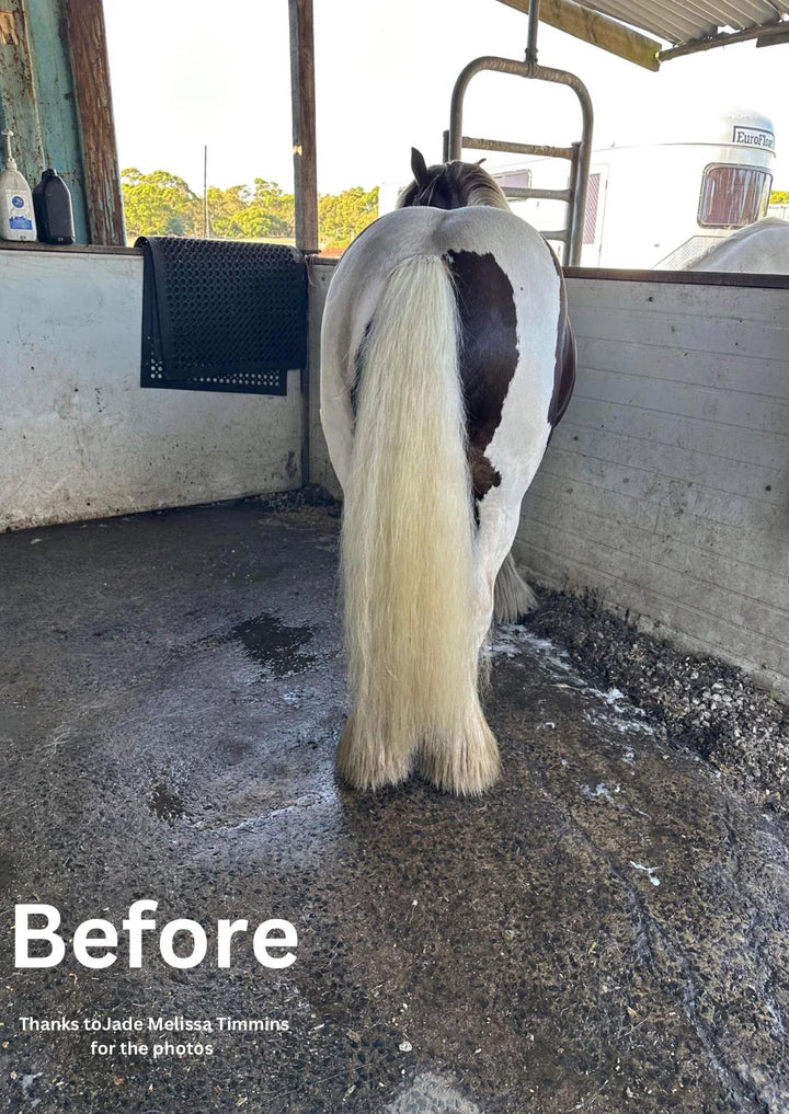 Hairy Pony Purple Hair Repair Treatment