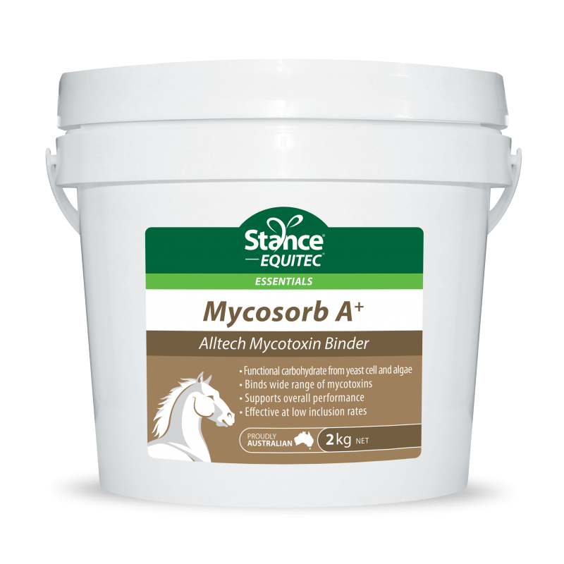 Stance Essentials Mycosorb A+