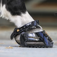 Scoot Boot Hoof Boots Classic Pair