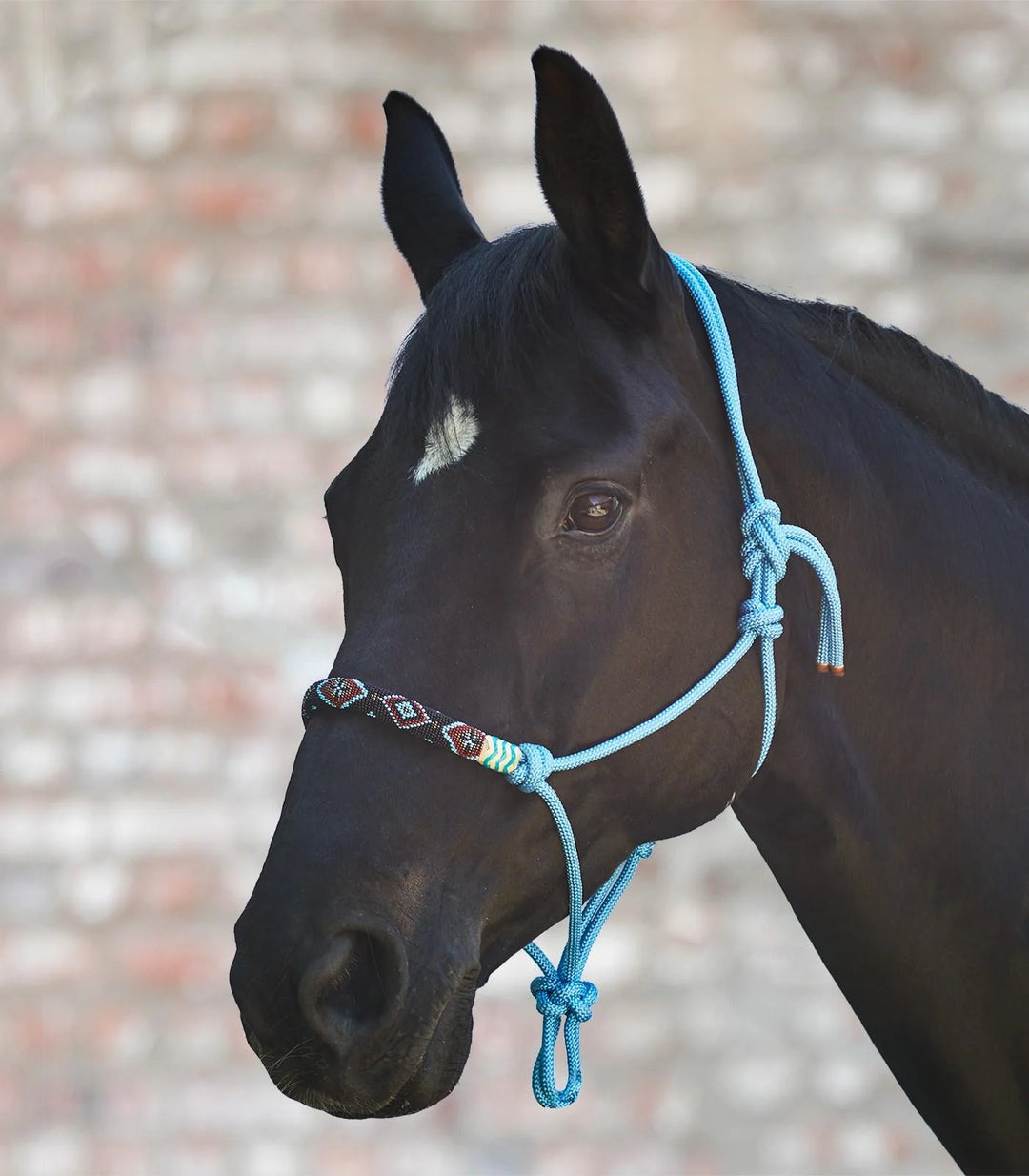 Waldhausen Rope Halter - Pearls